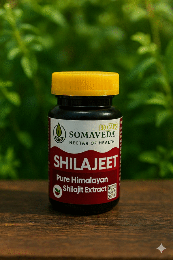 1000076377 Shilajeet Extract 500 mg
